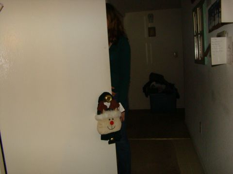1989 Ford Bronco - A Christmas reindeer ornament is attached to a door, partially obscuring a person standing behind it.