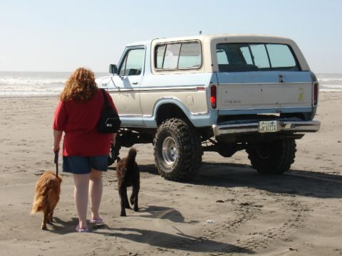 1978 Ford Bronco - 1978 Ford Bronco parked on the beach with two dogs and a person walking.