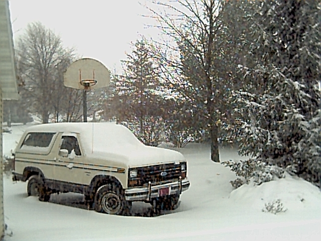 1986 Ford Bronco “Unbroken”