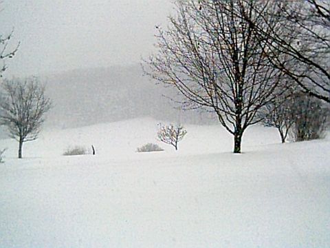 1986 Ford Bronco - A winter scene with snow-covered ground and trees, a Supermotors watermark at the bottom right.