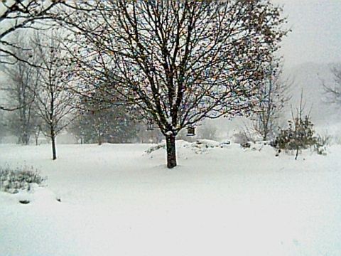 1986 Ford Bronco - Winter scene with snow covering the ground and trees. Supermotors.net logo is visible.