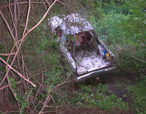 1995 Ford Bronco - A white pickup truck is deeply stuck in mud and overgrown vegetation, its rear end visible amidst the dense greenery.