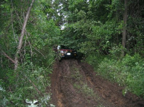 1995 Ford Bronco - A red SUV navigates a challenging muddy incline surrounded by dense green foliage.