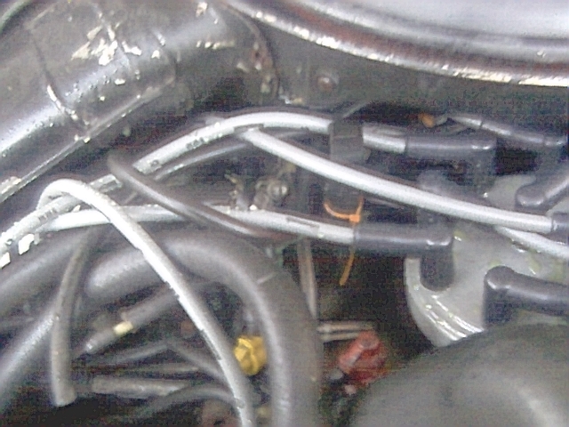 Hard to see...but there is a severed anti-freeze line in there.  Did not know it until after I started the truck...which spilled its cookies (anti-freeze) all underneath the hood and gushing water from underneath the truck....remember to always change your hoses, if they are rock hard and cannot be squeezed by hand...then they are in definite need of changing.