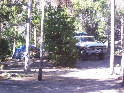 1979 Ford Bronco photo