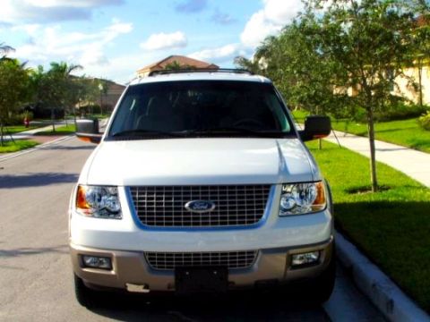2003 Ford Expedition - A white 2003 Ford Expedition is parked on a suburban street with green lawns and trees.