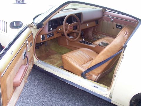 1979 Chevrolet Camaro - The interior of a 1979 Chevrolet Camaro features tan leather seats, a tan dashboard, and green carpeting.