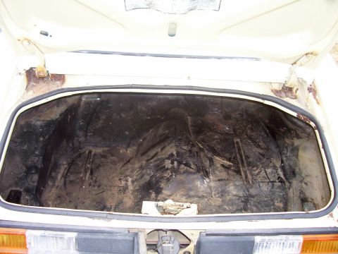 1979 Chevrolet Camaro - The interior of a car's trunk shows the spare tire well and surrounding metal, with visible rust.
