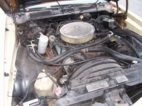 1979 Chevrolet Camaro - The engine compartment shows a V8 engine with various components and wiring, but no clear year identification.