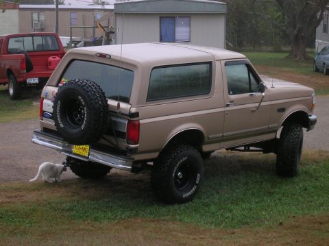 1996 Ford Bronco - A tan 1996 Ford Bronco is parked on grass next to a red pickup truck, with a cat walking near the rear bumper.