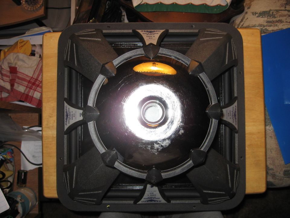Speaker with shiny center cone and black surround