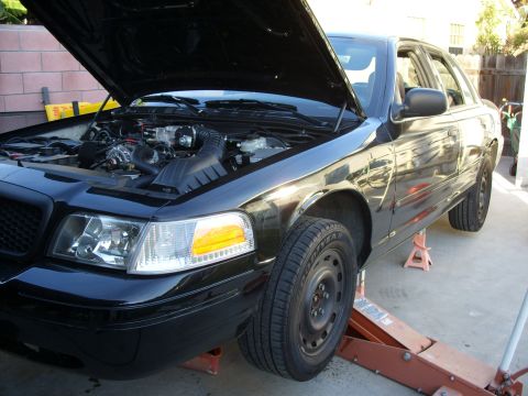 2005 Ford Crown Victoria - A black 2005 Ford Crown Victoria is shown with its hood open, elevated on jack stands for mechanical work.