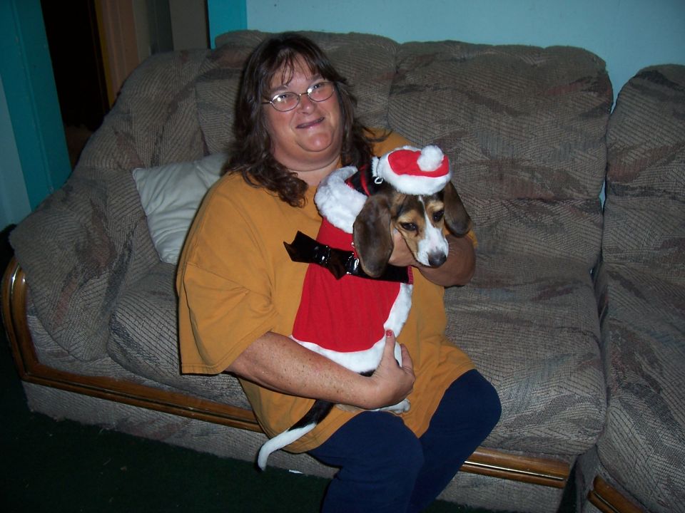 Woman in an orange shirt holds a beagle wearing a Santa outfit and hat while sitting on a couch