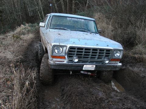 1978 Ford Bronco - This light blue Ford F-Series truck is navigating a muddy trail with tall grass and trees in the background.