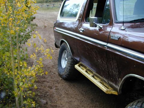1979 Ford Bronco - A brown 1978 Ford Bronco is seen from the side on a dirt road with autumn foliage.