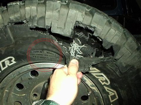 1995 Ford F-150 - Ironic