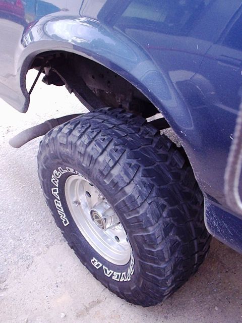 1995 Ford F-150 - The rear wheel and fender of a blue pickup truck are visible, with a prominent tire text.