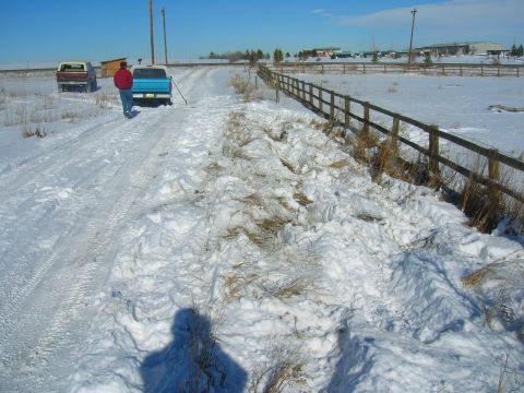 1979 Ford Bronco - Two pickup trucks are visible in a snow-covered field with a wooden fence line.