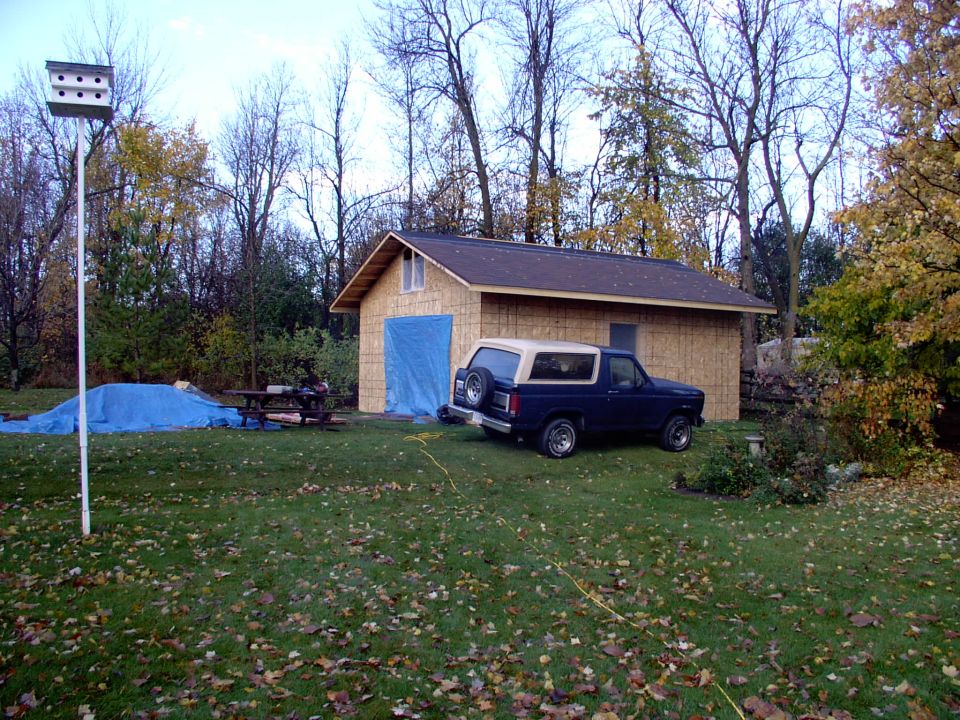 Bronco still on the job. Roof partially started. Plastic and tarps stapled over openings, we're in the rain season now !