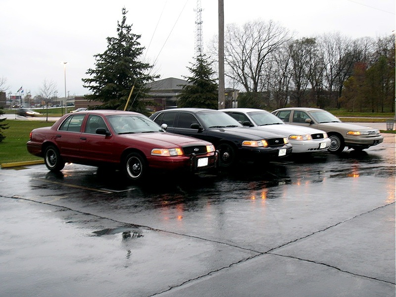 Four Ford Crown Victorias parked on a wet lot, one red, one black, one white, one tan