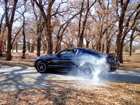 2006 Ford Mustang - A dark blue Ford Mustang performs a burnout, kicking up a cloud of smoke on a paved road surrounded by trees.