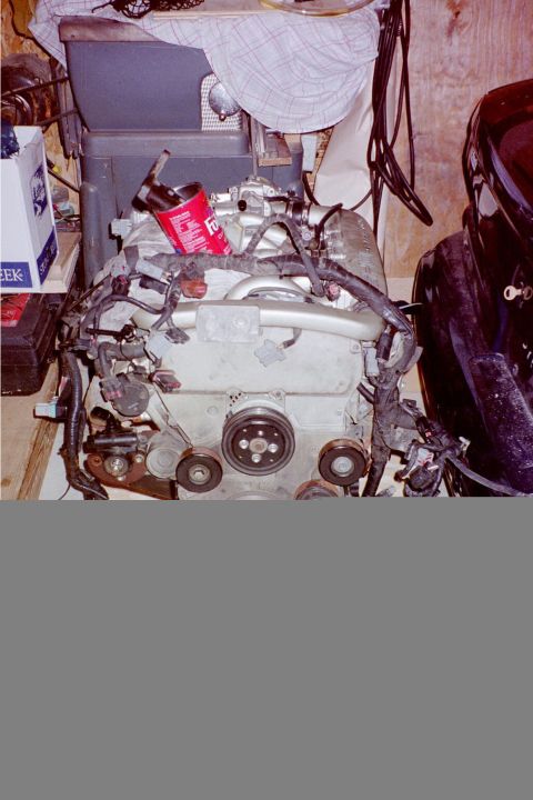 1995 Ford Taurus - Engine components are visible, including pulleys and wiring harnesses, with a red can resting on top.