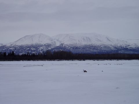 2000 Ford E350 - A wide, desolate winter scene with snow-covered mountains in the background.