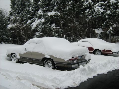1988 Mercury Grand Marquis - 1-1-08