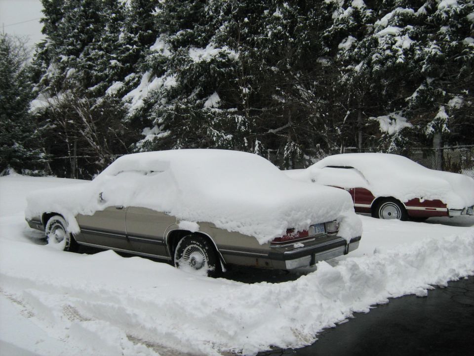 Two snow-covered cars parked among evergreen trees