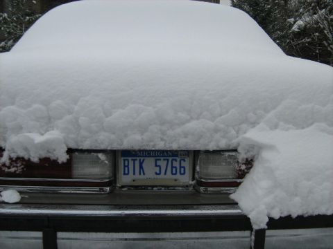 1988 Mercury Grand Marquis - 1-1-08 check out the new plate