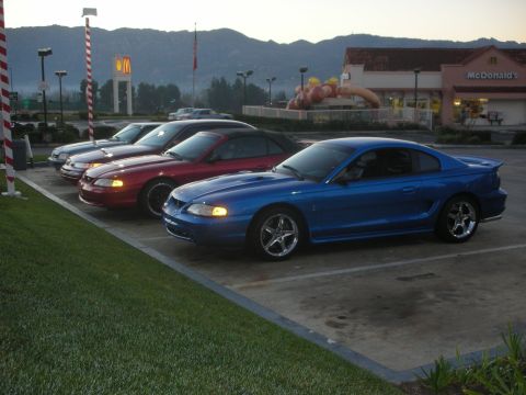 1992 Ford Crown Victoria - Several Ford Mustangs are parked in a lot outside a McDonald's restaurant.