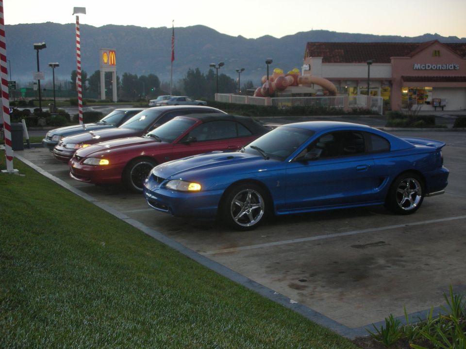 Blue Ford Mustang parked next to other Mustangs at a McDonald's