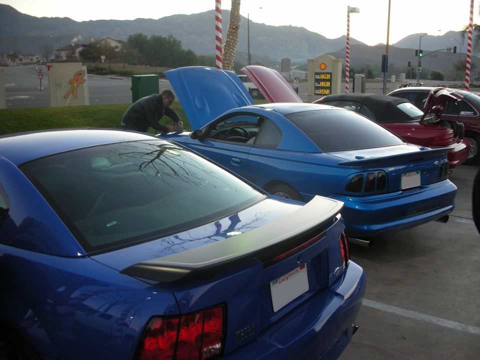 Rear view of a blue Ford Mustang with a spoiler