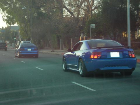 1992 Ford Crown Victoria - Two blue Ford Mustangs driving on a road; the closest is a 2000 model.