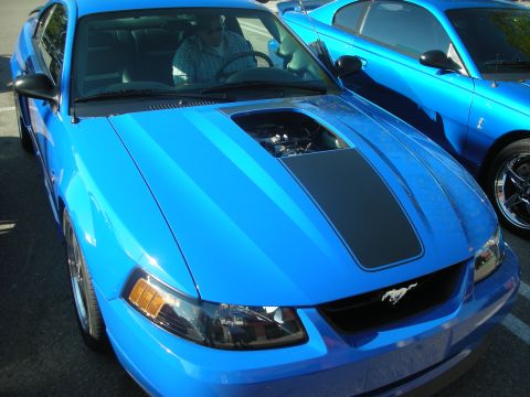 1992 Ford Crown Victoria - A driver sits in a bright blue Ford Mustang with racing stripes. A second blue Mustang is visible to the right.