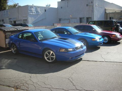 1992 Ford Crown Victoria - Three cars are parked in a lot, with a blue Mustang in the foreground.