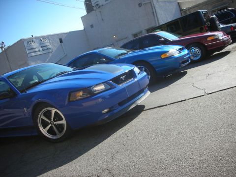 1992 Ford Crown Victoria - Several cars are parked in a line, including a blue Ford Mustang and a red sedan.