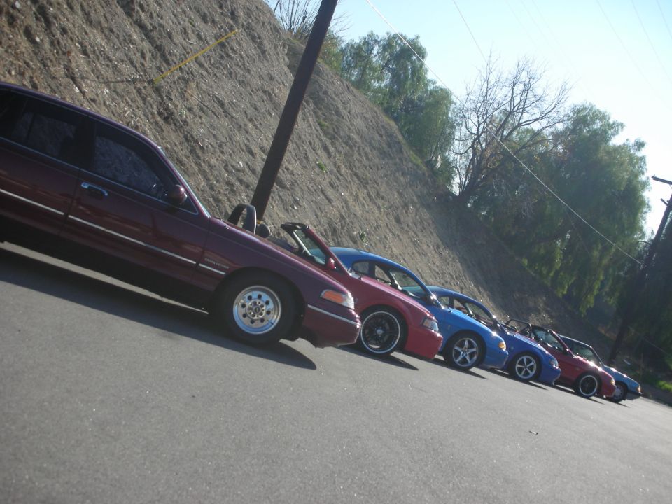 Several cars parked in a line on asphalt, with a dirt embankment and trees in the background