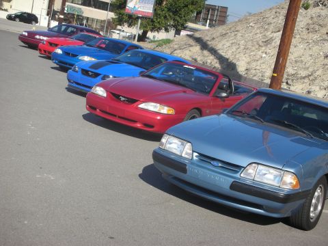 1992 Ford Crown Victoria - A line of Ford Mustangs, including a blue Fox body and red SN95 models, parked outdoors.