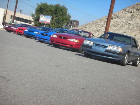 1992 Ford Crown Victoria - A collection of Ford Mustangs are lined up on an asphalt surface under a clear sky.