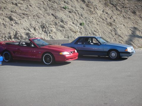 1992 Ford Crown Victoria - Two Ford Mustangs, a blue hatchback and a red convertible, are parked together on asphalt.