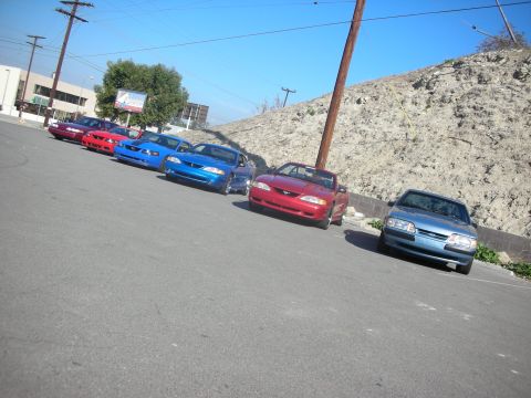 1992 Ford Crown Victoria - A group of Ford Mustangs are lined up on a paved surface under a clear blue sky.