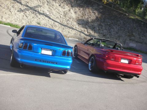 1992 Ford Crown Victoria - Two Ford Mustangs, a blue Cobra coupe and a red convertible GT, are parked on a road.