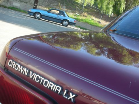 1992 Ford Crown Victoria - A maroon car's hood is in focus, showing its trim, while a blue coupe is parked on the street behind it.