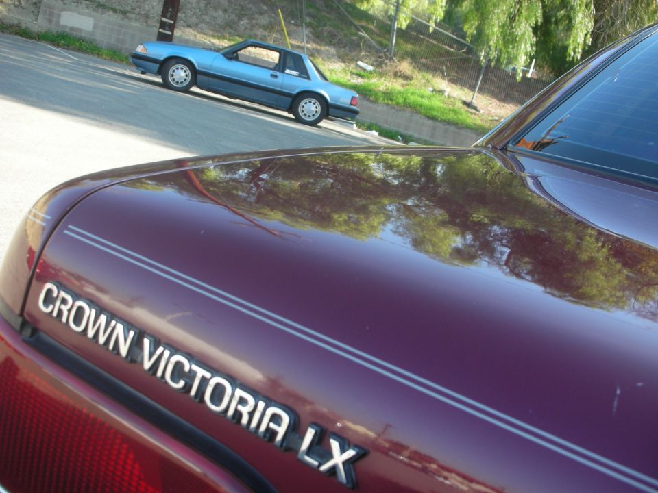 Maroon car hood with 'CROWN VICTORIA LX' badging in foreground, blue coupe in background on street