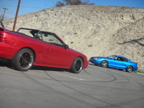 1992 Ford Crown Victoria - Two Ford Mustangs, one red convertible and one blue coupe, are parked on a road with tire marks.