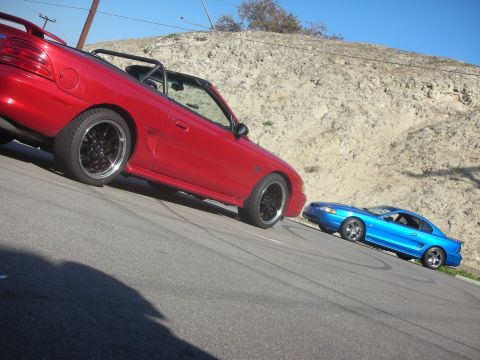 1992 Ford Crown Victoria - Red convertible and blue coupe Ford Mustangs parked on a street.