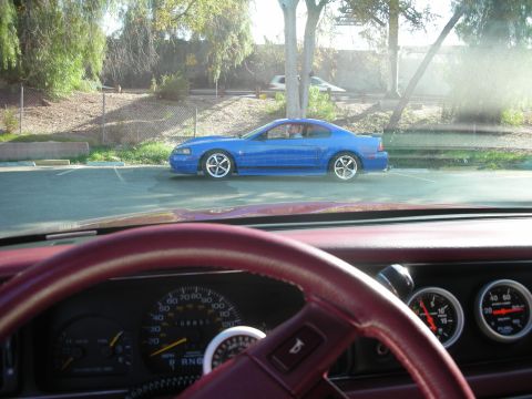1992 Ford Crown Victoria - A blue Ford Mustang is parked in a lot, viewed from the interior of another vehicle.