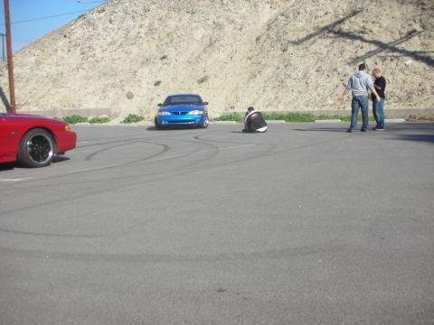 1992 Ford Crown Victoria - A blue Ford Mustang is parked on asphalt with tire marks, while people stand nearby.