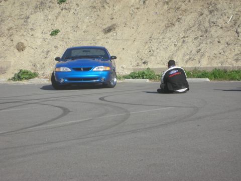 1992 Ford Crown Victoria - A blue Ford Mustang sits on asphalt with tire marks, a person in a Ford jacket seated nearby.